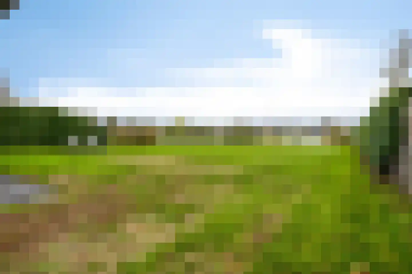 Oesterdam 63 Tholen thumbnail 35