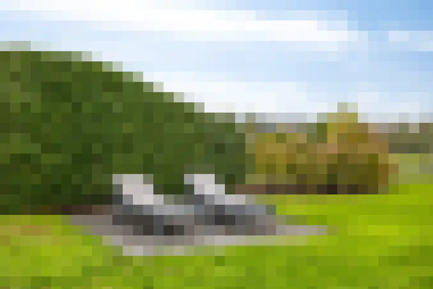 Oesterdam 63 Tholen thumbnail 38