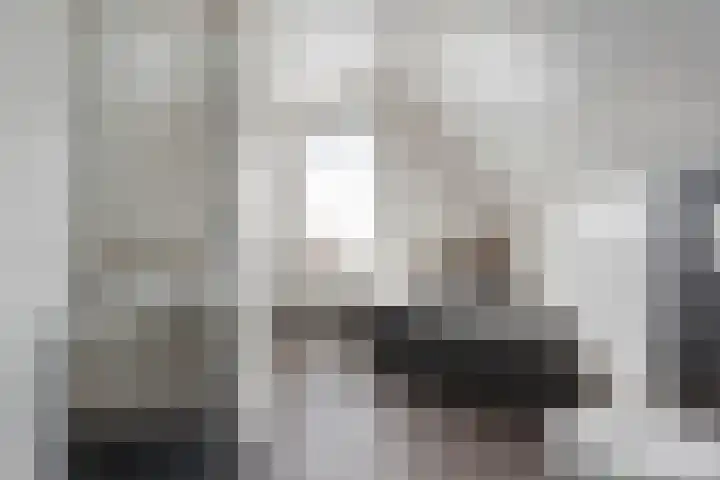 Oetbrink 17 Daarle thumbnail 26
