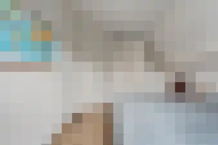 Oetbrink 17 Daarle thumbnail 34