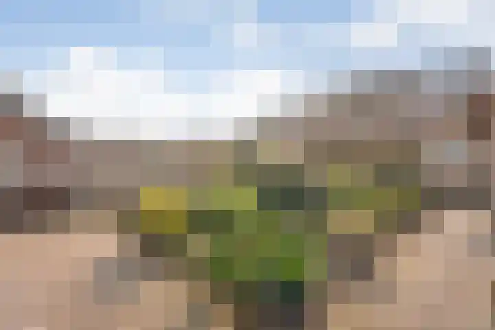 Oetbrink 17 Daarle thumbnail 41