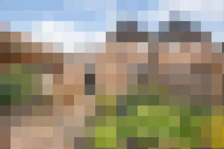 Oetbrink 17 Daarle thumbnail 44