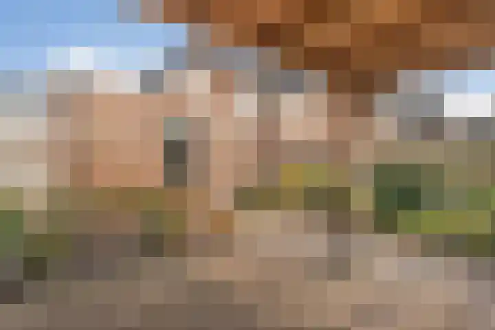 Oetbrink 17 Daarle thumbnail 45