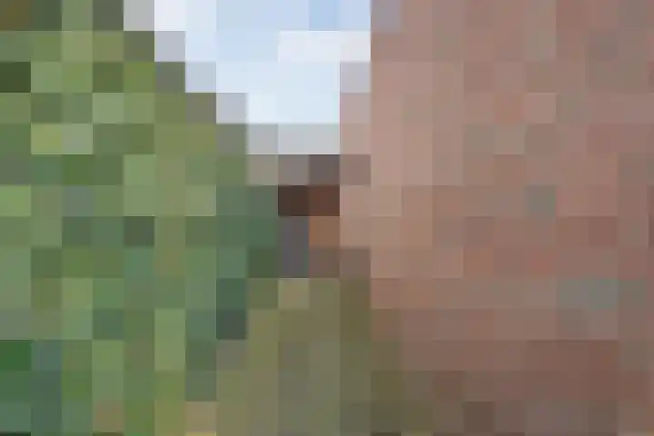 Oetbrink 17 Daarle thumbnail 47