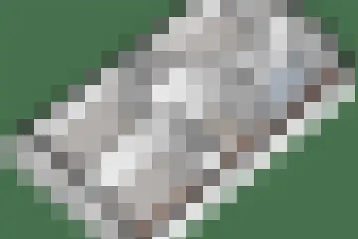 Oetbrink 17 Daarle thumbnail 51