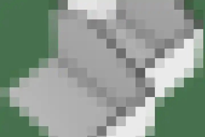Oetbrink 17 Daarle thumbnail 55