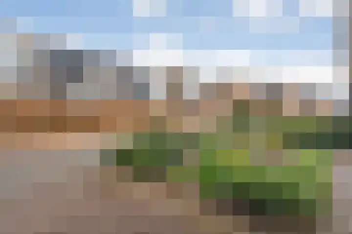 Oetbrink 17 Daarle thumbnail 8