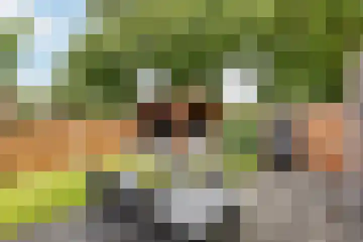 Oetbrink 32 Daarle thumbnail 15