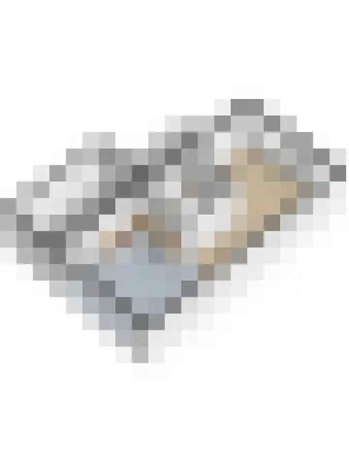 Oetbrink 32 Daarle thumbnail 18