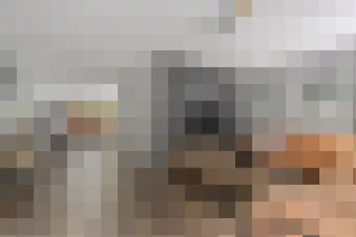 Oetbrink 32 Daarle thumbnail 6