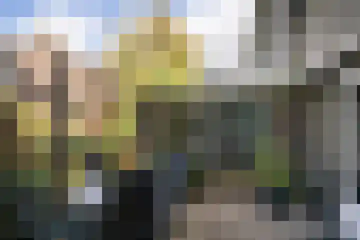 Oever 35 Schiedam thumbnail 11