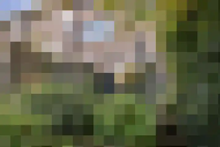 Oever 35 Schiedam thumbnail 12