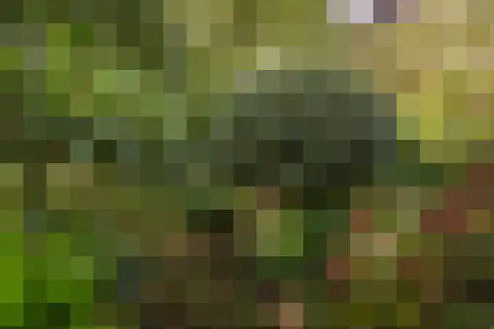 Oever 35 Schiedam thumbnail 13