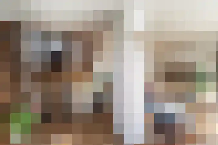 Oever 35 Schiedam thumbnail 17