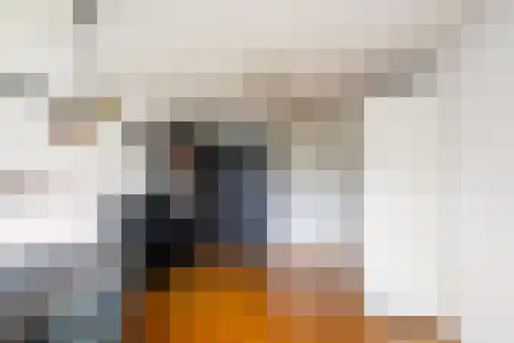 Oever 35 Schiedam thumbnail 30