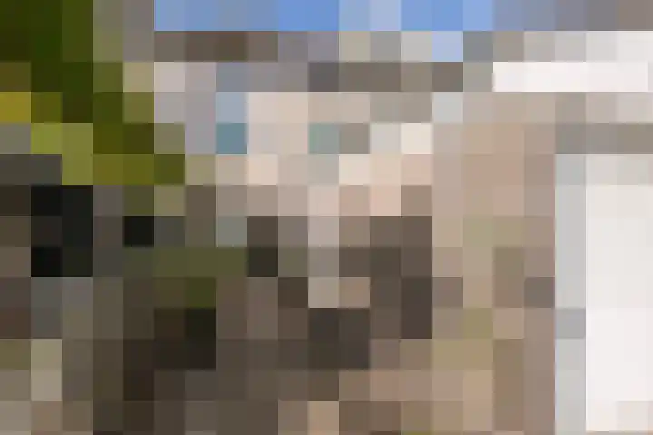 Oever 35 Schiedam thumbnail 37