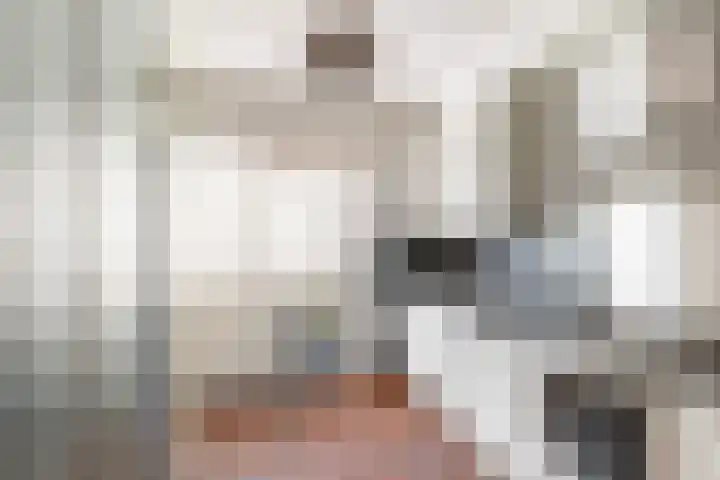 Oever 35 Schiedam thumbnail 4