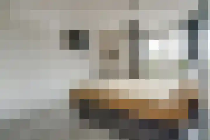 Oever 56 Brielle thumbnail 13