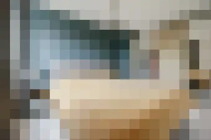 Oever 56 Brielle thumbnail 14