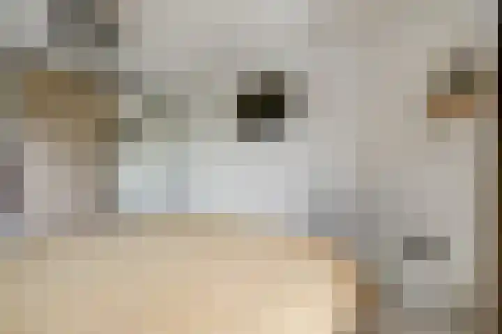 Oever 56 Brielle thumbnail 15