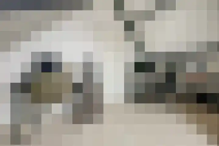Oever 56 Brielle thumbnail 22