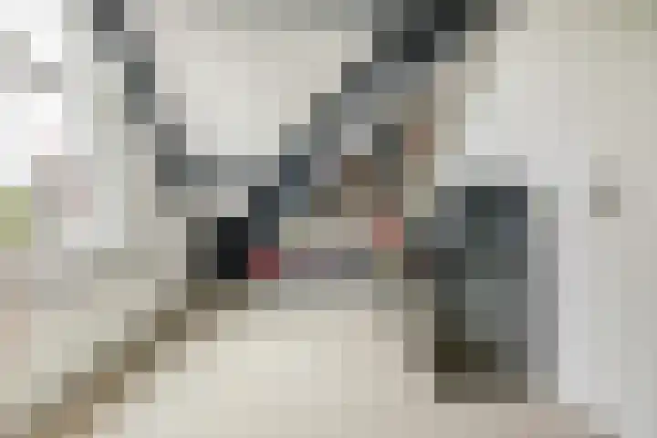 Oever 56 Brielle thumbnail 23