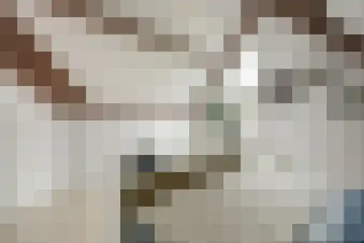 Oever 56 Brielle thumbnail 28
