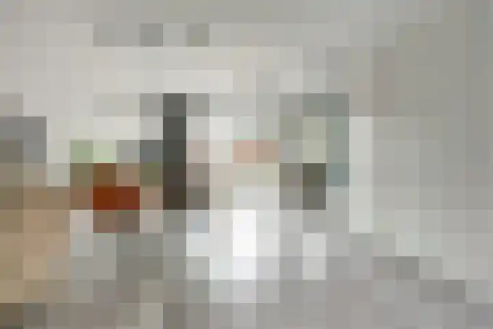 Oever 56 Brielle thumbnail 8