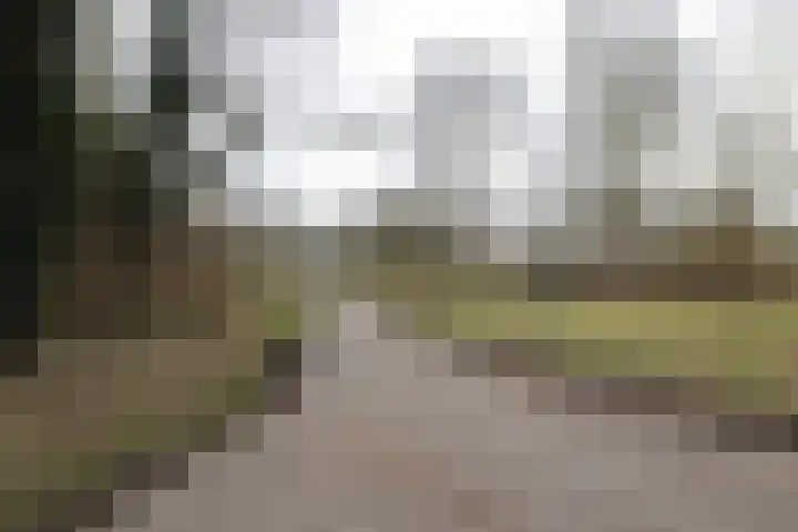 Oevergriend 34 Almere thumbnail 41