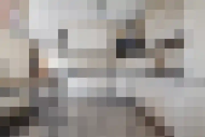 Oeverkamp 27 Bemmel thumbnail 12