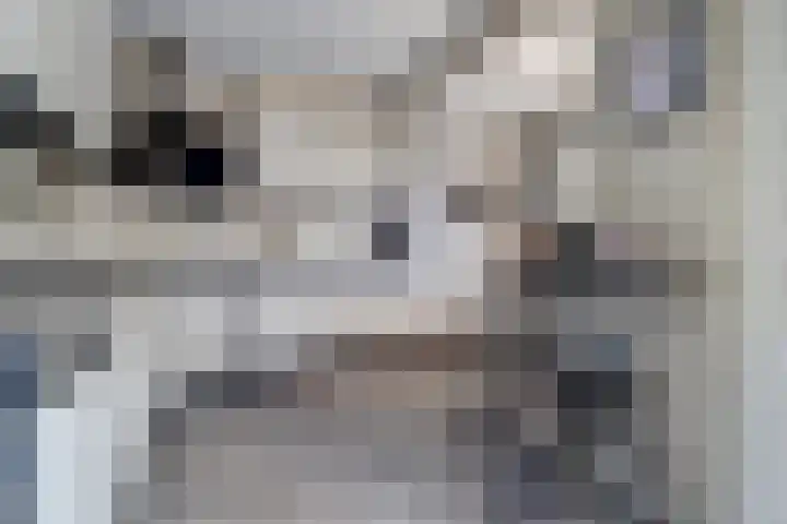 Oeverkamp 27 Bemmel thumbnail 15