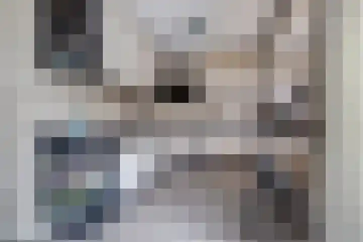 Oeverkamp 27 Bemmel thumbnail 16