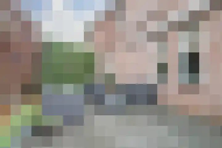 Oeverkamp 27 Bemmel thumbnail 29