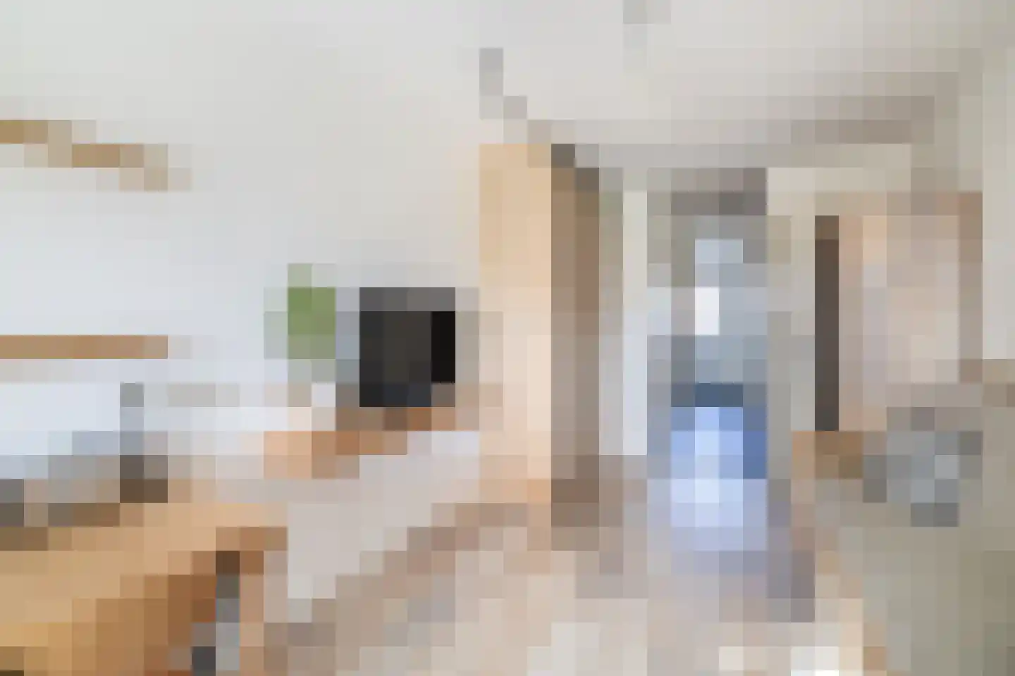 Oeverkamp 27 Bemmel thumbnail 41