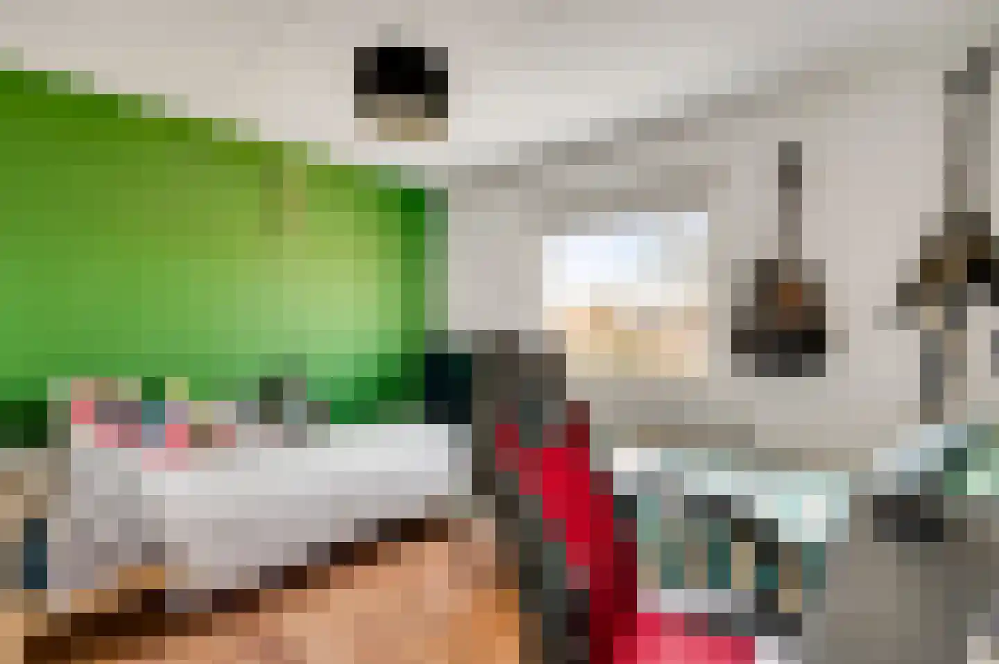 Oeverkamp 27 Bemmel thumbnail 43