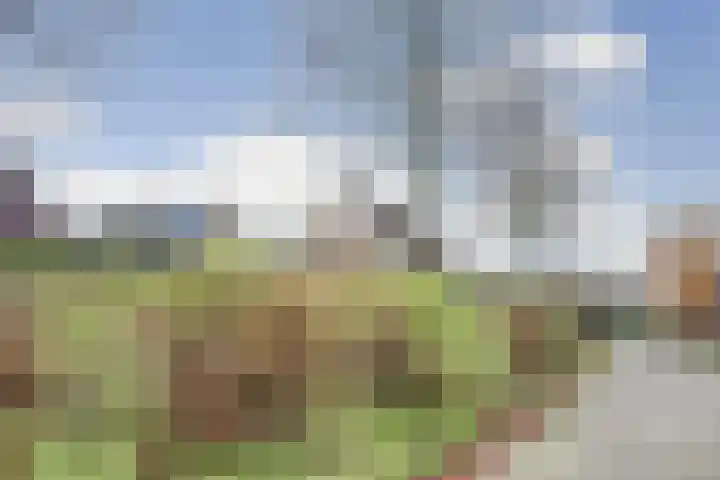 Oeverkamp 27 Bemmel thumbnail 56