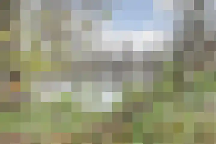Oeverkamp 27 Bemmel thumbnail 59