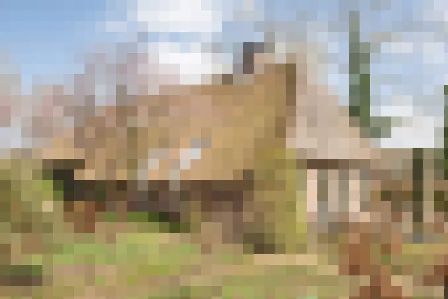 Oevermansweg 16 in Emmen