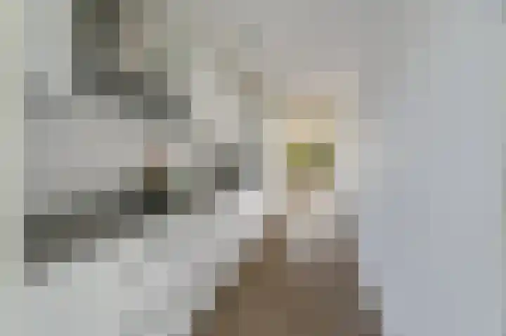 Oeverpad 279 Amsterdam thumbnail 10