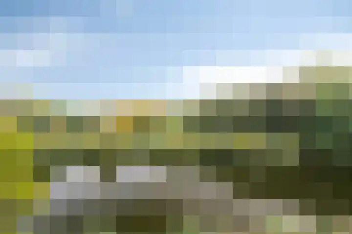 Oeverpad 401 Amsterdam thumbnail 17