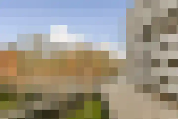 Oeverpad 498 Amsterdam thumbnail 18