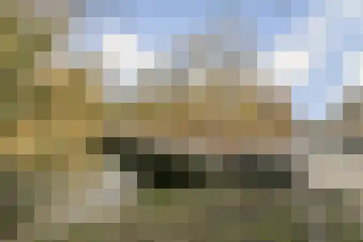 Oeverpad 498 Amsterdam thumbnail 19