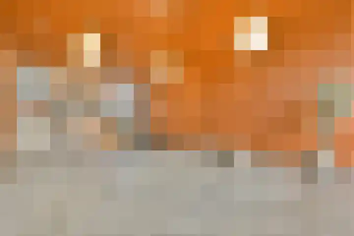 Oeverpad 498 Amsterdam thumbnail 4