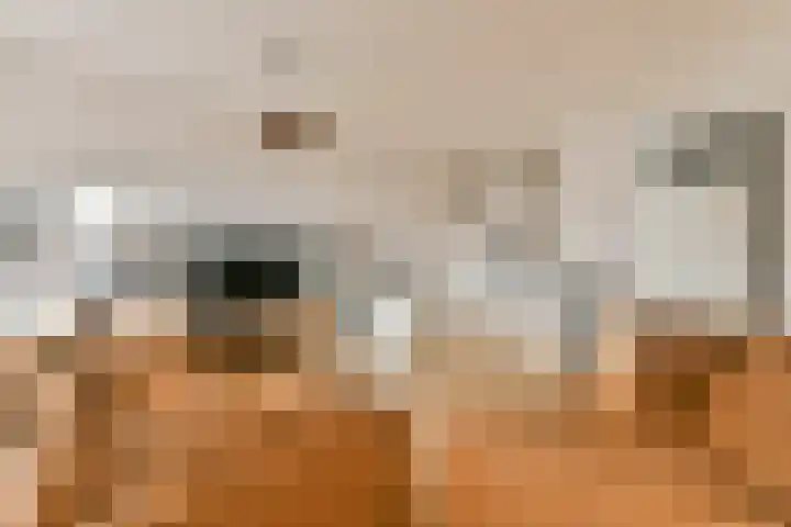 Oeverpad 498 Amsterdam thumbnail 9