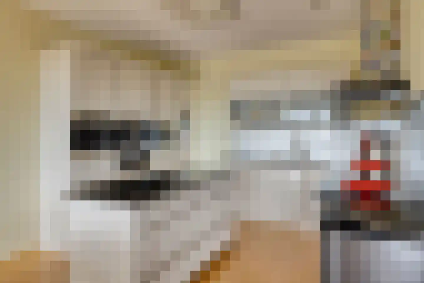 Oeverpad 515 Amsterdam thumbnail 15