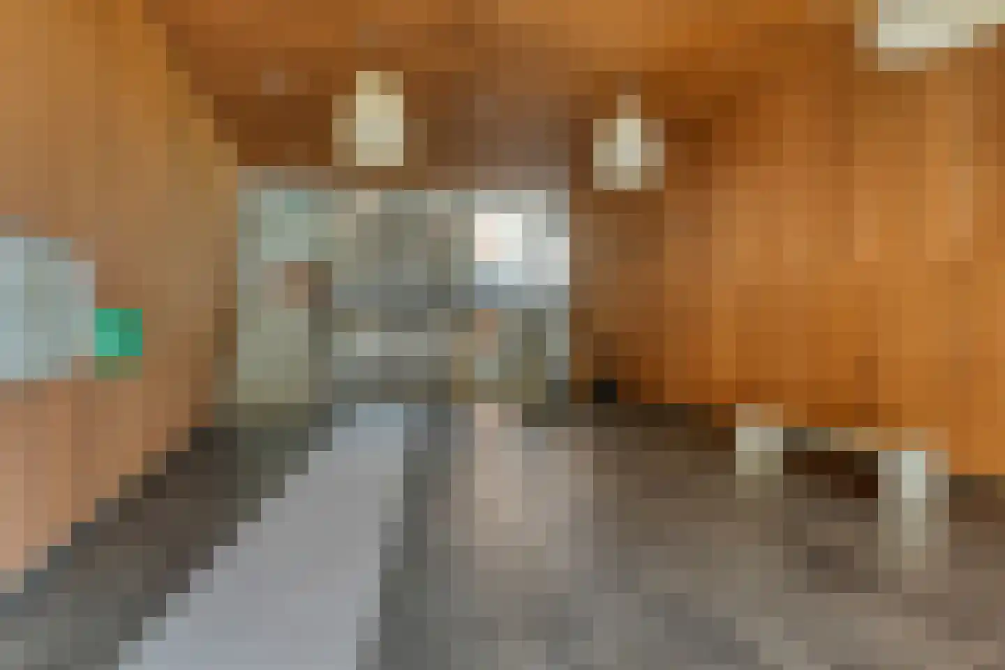 Oeverpad 515 Amsterdam thumbnail 5