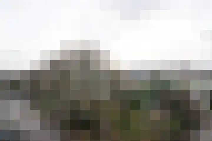 Oeverpad 520 Amsterdam thumbnail 11
