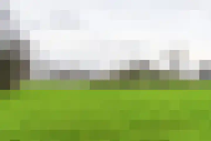 Oeverpad 520 Amsterdam thumbnail 35
