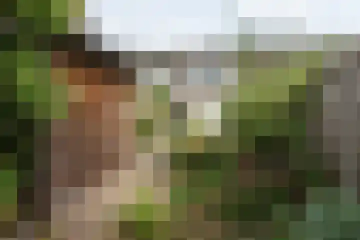 Oeverstraat 15 Tilburg thumbnail 35