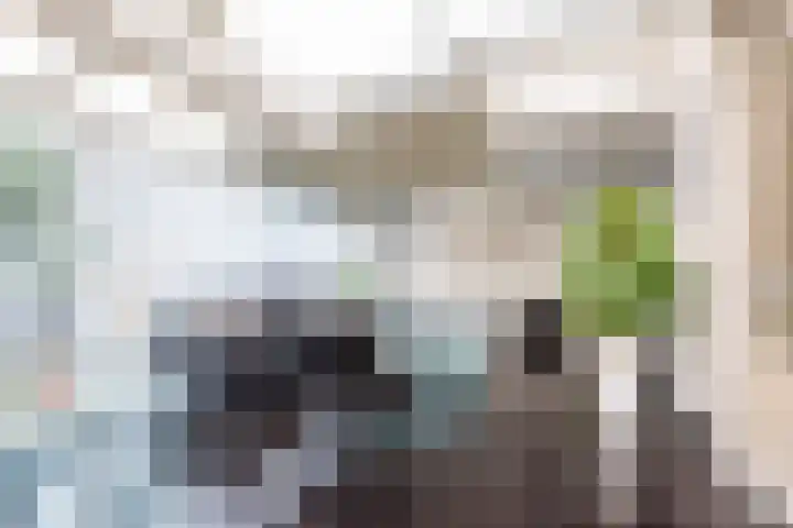 Oeverstraat 3 Gaanderen thumbnail 19